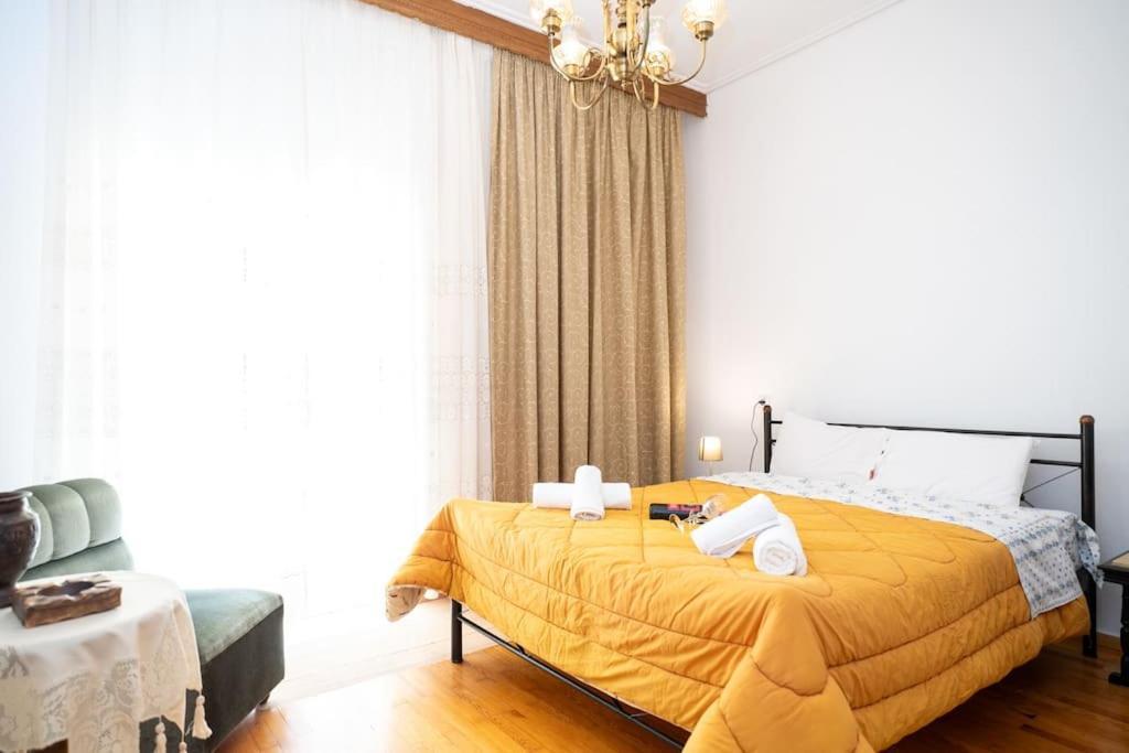 Theoni Central Apartment 卡兰巴卡 外观 照片